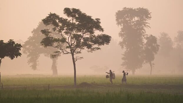 View of workers walking in a misty field at dawn Bangladesh.