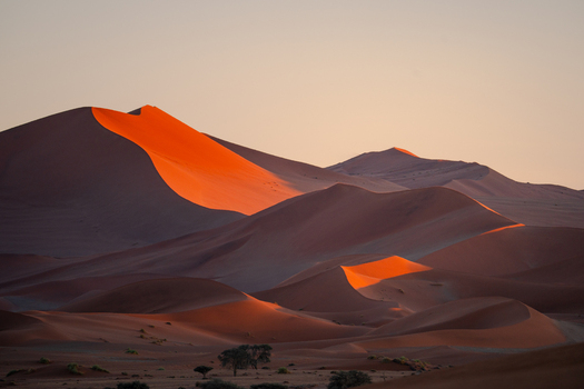 View of fiery dunes ablaze with golden light casting long shadows across the rippled sands a solitary tree standing guard Sossusvlei Hardap Region Namibia. View of fiery dunes ablaze with golden light casting long shadows across the rippled sands a solitary tree standing guard Sossusvlei Hardap Region Namibia.