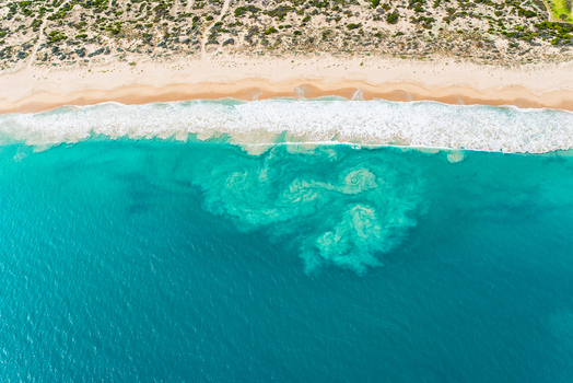 Aerial view of Cottesloe Beach featuring turquoise water with swirling sediment patterns along the sandy coastline and coastal dunes in Cottesloe Western Australia Australia.
