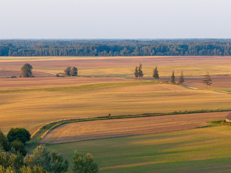 Aerial view of vast agricultural fields and rolling hills under warm golden hour light with a dense forest in the background Taujenai Vilnius County Lithuania.