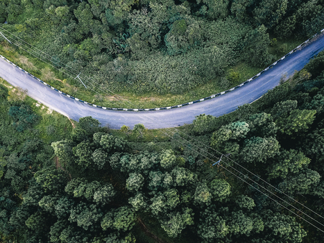 Aerial view of a dark winding asphalt road carving through a vast lush green forest canopy Obudu Cross River Nigeria.