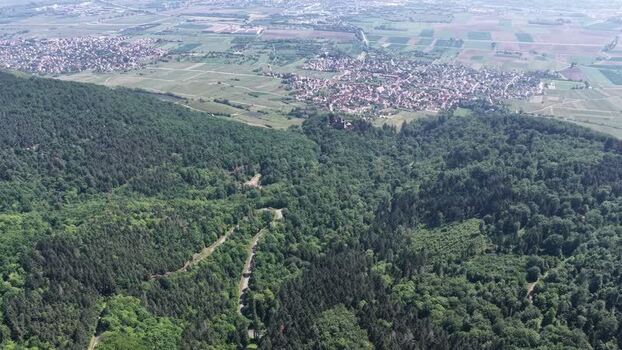 Aerial view of the lush green forest and town of Selestat France.