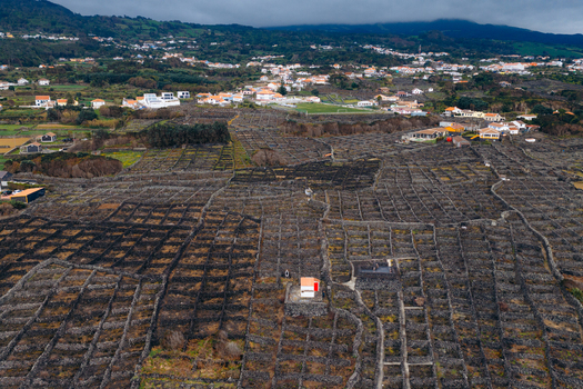 Aerial view of traditional volcanic stone vineyards and rural houses under a cloudy sky Biscoitos Azores Portugal. Aerial view of traditional volcanic stone vineyards and rural houses under a cloudy sky Biscoitos Azores Portugal.