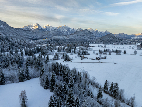 Aerial view of a winter wonderland where snow laden trees meet the majestic snow capped Alps under a soft pastel sky Schwangau Bayern Germany.