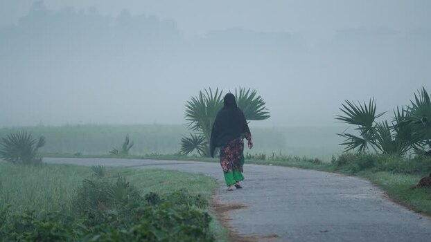 View of a woman walking on a rural road in the mist Bangladesh.