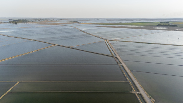 Aerial view of flooded rice paddies and geometric agricultural fields at Isla Minima near Coria del Rio Andalusia Spain. Aerial view of flooded rice paddies and geometric agricultural fields at Isla Minima near Coria del Rio Andalusia Spain.