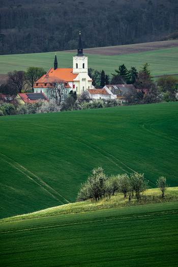 View of a white church with a black spire and orange roof nestled among village houses and rolling green agricultural fields in Cejkovice South Moravian Region Czechia. View of a white church with a black spire and orange roof nestled among village houses and rolling green agricultural fields in Cejkovice South Moravian Region Czechia.