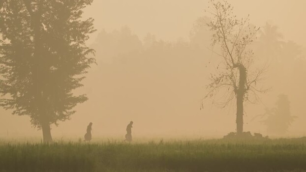 View of people walking in a misty field in Bangladesh. View of people walking in a misty field in Bangladesh.