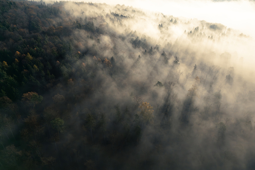 Aerial view of Schonbuch forest with thick morning mist and sunbeams filtering through the autumn trees in Bebenhausen Baden Wurttemberg Germany. Aerial view of Schonbuch forest with thick morning mist and sunbeams filtering through the autumn trees in Bebenhausen Baden Wurttemberg Germany.