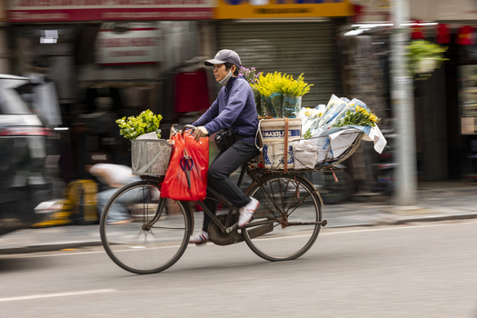 Hanoi Ha Noi Vietnam 11 November 2025 View of a street vendor riding a bicycle loaded with colorful flowers through the busy streets of the city.