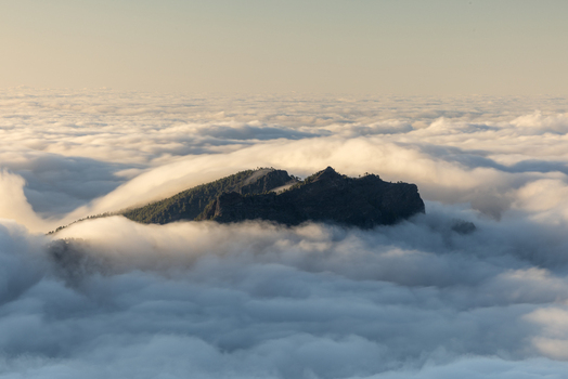 View of the rugged peaks of Caldera de Taburiente National Park emerging from a thick sea of white clouds under a soft golden sky El Paso Canarias Spain. View of the rugged peaks of Caldera de Taburiente National Park emerging from a thick sea of white clouds under a soft golden sky El Paso Canarias Spain.