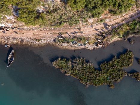 Aerial view of a herd of cattle walking along a dirt path by the Kanali i Vivarit with a small wooden boat moored near the marshy shoreline in Vrine Vlore County Albania. Aerial view of a herd of cattle walking along a dirt path by the Kanali i Vivarit with a small wooden boat moored near the marshy shoreline in Vrine Vlore County Albania.