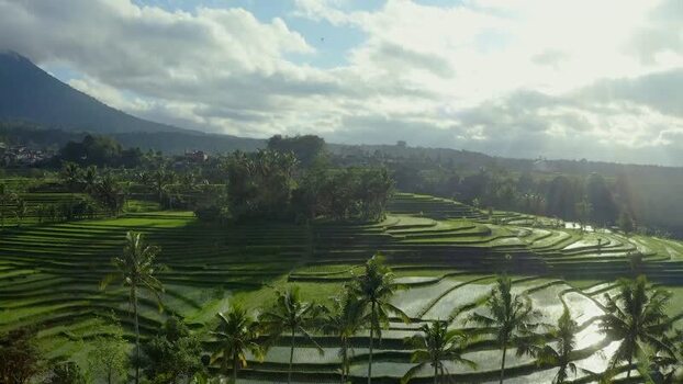 Aerial view of Jatiluwih rice terraces and mountains Indonesia.