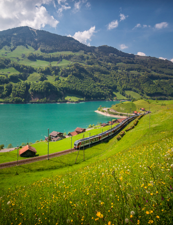 View of a train traveling along the tracks beside the turquoise waters of Lake Lungern surrounded by lush green hills and a field of wildflowers in Lungern Obwalden Switzerland. View of a train traveling along the tracks beside the turquoise waters of Lake Lungern surrounded by lush green hills and a field of wildflowers in Lungern Obwalden Switzerland.