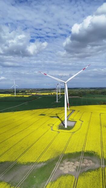 Aerial view of wind turbines in yellow rapeseed fields Germany.
