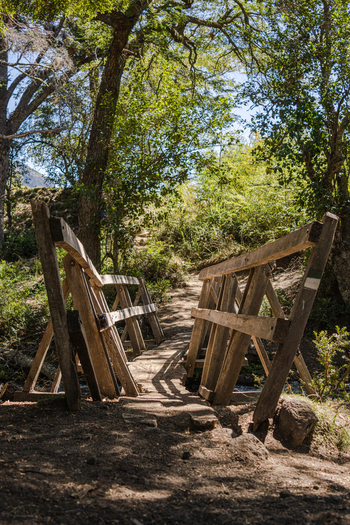 View of a rustic wooden bridge on a hiking trail leading through a lush forest near Cascada El Saltillo in Huiliches Department Neuquen Province Argentina. View of a rustic wooden bridge on a hiking trail leading through a lush forest near Cascada El Saltillo in Huiliches Department Neuquen Province Argentina.