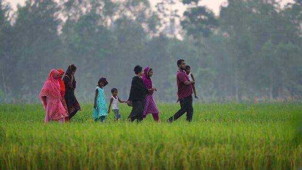 View of people walking through a lush green rice field Bangladesh.
