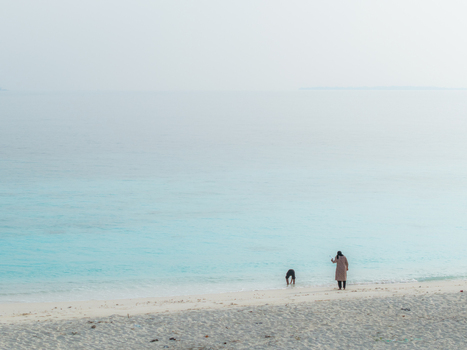 Aerial view of a lone figure and dog on soft white sands where tranquil turquoise waters meet a hazy pale blue sky Hoarafushi Thiladhunmathee Uthuruburi Maldives. Aerial view of a lone figure and dog on soft white sands where tranquil turquoise waters meet a hazy pale blue sky Hoarafushi Thiladhunmathee Uthuruburi Maldives.