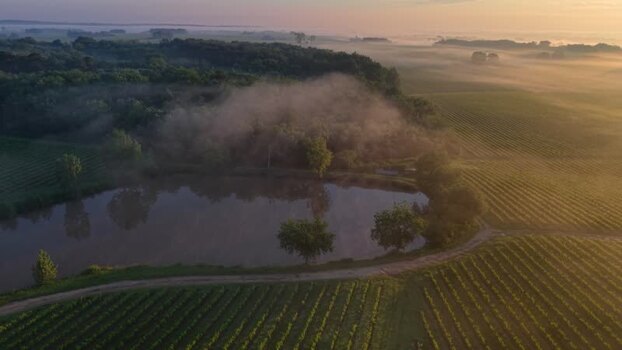 Aerial view of misty vineyards and a small pond at sunrise France. Aerial view of misty vineyards and a small pond at sunrise France.