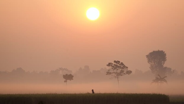 View of a person in a misty field at sunrise Bangladesh. View of a person in a misty field at sunrise Bangladesh.