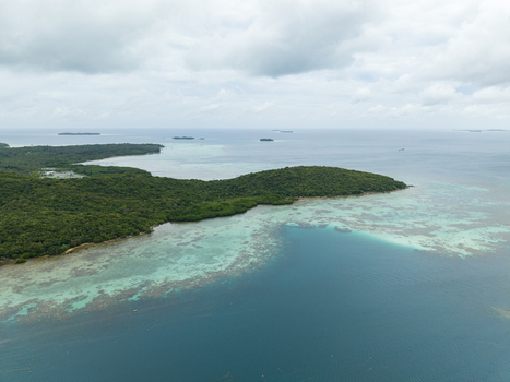 Aerial view of the vibrant turquoise waters meeting the lush green coastline under a cloudy sky Karimunjawa Central Java Indonesia.