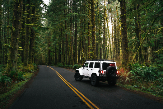 View of a white Jeep Wrangler parked on the shoulder of a winding asphalt road through a dense moss covered temperate rainforest in the United States of America. View of a white Jeep Wrangler parked on the shoulder of a winding asphalt road through a dense moss covered temperate rainforest in the United States of America.
