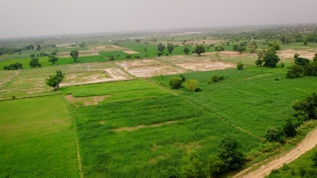 Aerial view of green agricultural fields in rural India.