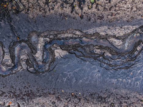 Aerial view of a winding dark muddy stream cutting through textured wet earth in the landscape of Latvia.
