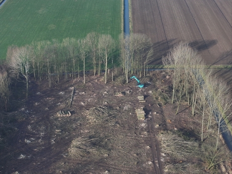Netherlands 06 July 2026 Aerial view of a forest clearing with an excavator stacked logs and surrounding agricultural fields. Netherlands 06 July 2026 Aerial view of a forest clearing with an excavator stacked logs and surrounding agricultural fields.
