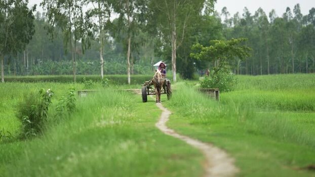 View of a horse drawn cart on a rural path in Bangladesh. View of a horse drawn cart on a rural path in Bangladesh.
