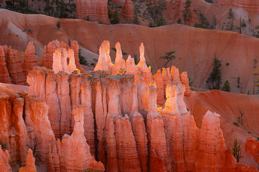 View of Bryce Canyon National Park featuring iconic orange hoodoos and pine trees illuminated by golden hour light in Utah United States.
