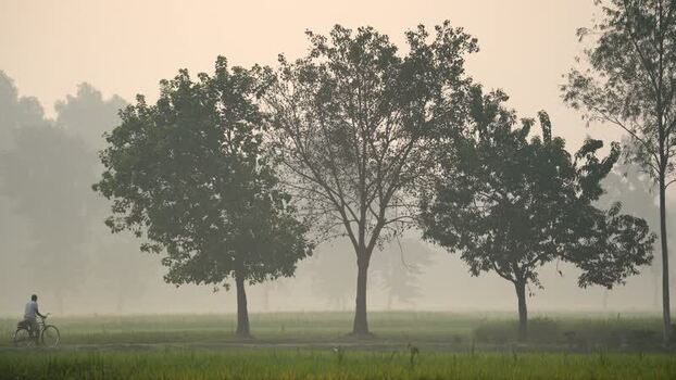 View of a man riding a bicycle through misty fields Bangladesh.