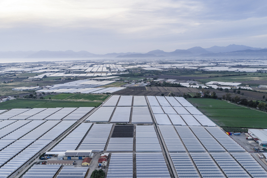 Aerial view of vast greenhouse complexes and agricultural fields stretching toward distant mountains under a hazy sky in Paestum Campania Italy.