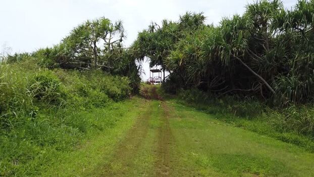 View of path and pavilion Pitcairn Islands.