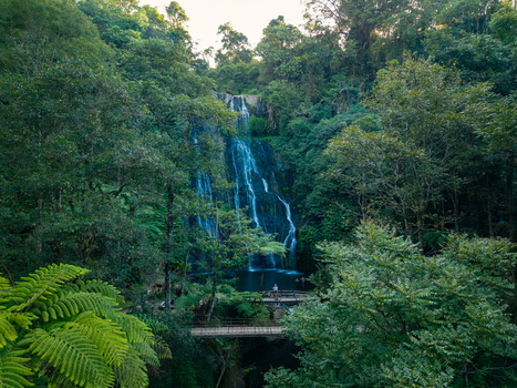 Aerial view of Banyumala Waterfall cascading into a pool surrounded by lush tropical rainforest and a wooden bridge in Sukasada Bali Indonesia.