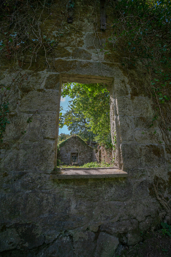 View of historic stone ruins of a former china clay works featuring weathered masonry walls overgrown ivy and surrounding woodland in Tregargus Valley Cornwall United Kingdom. View of historic stone ruins of a former china clay works featuring weathered masonry walls overgrown ivy and surrounding woodland in Tregargus Valley Cornwall United Kingdom.