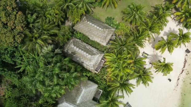 Aerial view of tropical bungalows and palm trees Cook Islands. Aerial view of tropical bungalows and palm trees Cook Islands.