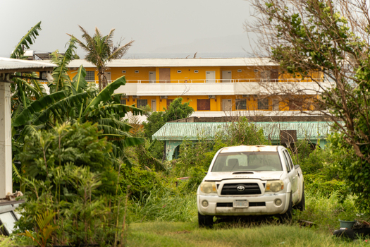 San Jose Tinian Northern Mariana Islands 05 July 2026 View of a white pickup truck parked amidst overgrown vegetation with a yellow building in the background. San Jose Tinian Northern Mariana Islands 05 July 2026 View of a white pickup truck parked amidst overgrown vegetation with a yellow building in the background.