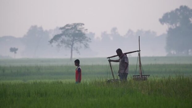 View of a farmer and child in a misty field in Bogura Bangladesh. View of a farmer and child in a misty field in Bogura Bangladesh.