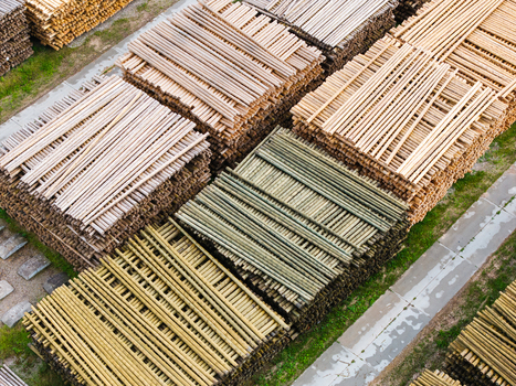 Aerial view of stacked timber logs in a lumber yard representing sustainable forestry operations in Latvia. Aerial view of stacked timber logs in a lumber yard representing sustainable forestry operations in Latvia.