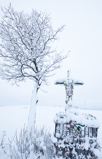 View of a snow covered religious cross decorated with flowers next to a bare tree in a white winter field in Tatra County Lesser Poland Poland. View of a snow covered religious cross decorated with flowers next to a bare tree in a white winter field in Tatra County Lesser Poland Poland.