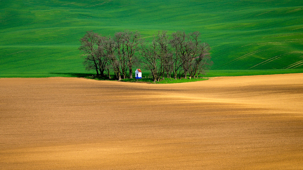 View of a small chapel nestled within a grove of trees amidst rolling green and brown agricultural fields in the Moravia region Brno City District South Moravian Region Czechia.