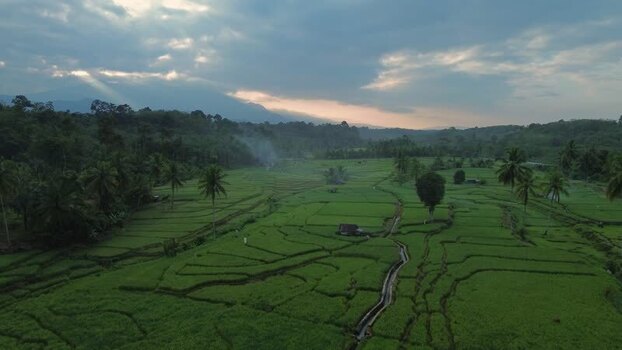 Aerial view of Taba Tembilang rice fields in Indonesia. Aerial view of Taba Tembilang rice fields in Indonesia.