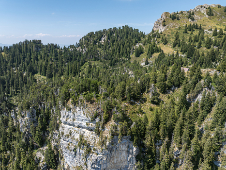 Aerial view of the rugged cliffs and dense pine forests of the Justistal near the Niederhorn in the Bernese Alps Sigriswil Bern Switzerland. Aerial view of the rugged cliffs and dense pine forests of the Justistal near the Niederhorn in the Bernese Alps Sigriswil Bern Switzerland.