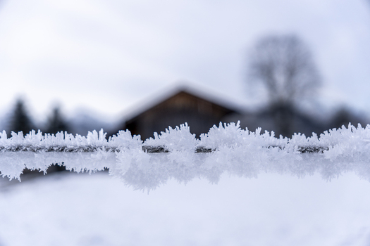 View of delicate frost crystals clinging to a wire against a blurred backdrop of a wooden house and bare trees in winter Schwangau Bavaria Germany.