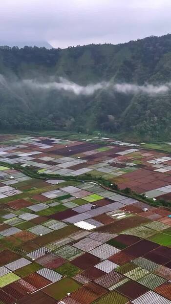 Aerial view of agricultural fields in Bali Indonesia.