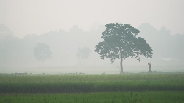 View of a farmer walking in a misty field in Bogura Bangladesh.