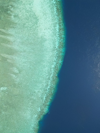 Aerial view of Pulau Ndaa showing the vibrant coral reef transition into the deep blue ocean waters in Tomia South East Sulawesi Indonesia.