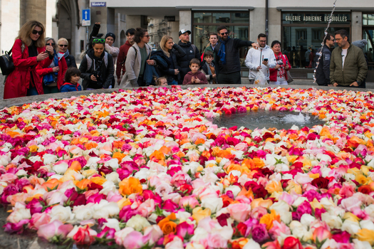 Zurich Switzerland 02 April 2023 View of a vibrant fountain overflowing with a colorful carpet of roses as onlookers admire the floral spectacle near the National Museum Zurich. Zurich Switzerland 02 April 2023 View of a vibrant fountain overflowing with a colorful carpet of roses as onlookers admire the floral spectacle near the National Museum Zurich.