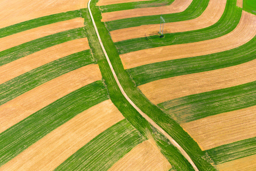 Aerial view of agricultural fields with alternating green and golden crop strips a narrow dirt path and a power line pylon in Brno South Moravian Region Czechia.